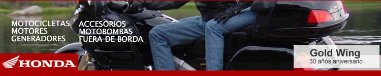 Motocicletas Motores Pulverizador Honda